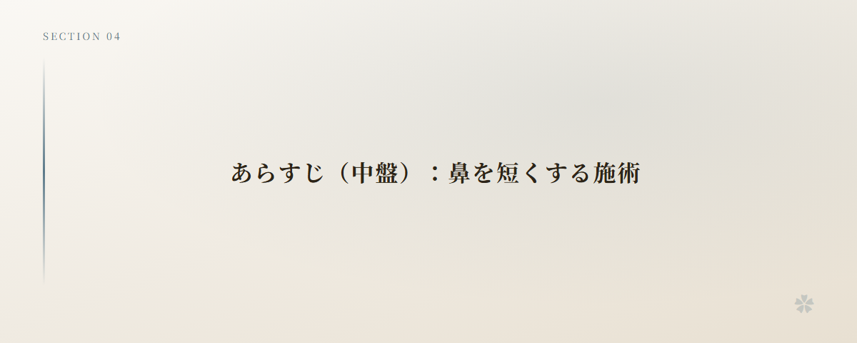 あらすじ（中盤）：鼻を短くする施術